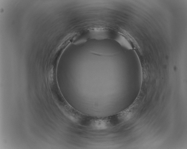 X0000075840163200609221714