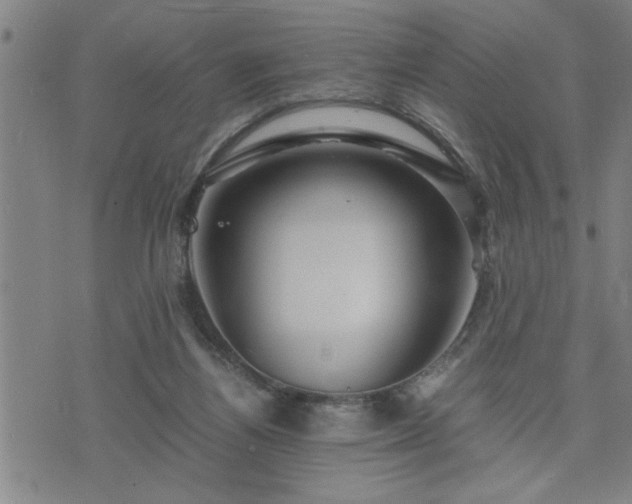 X0000075840164200609221714