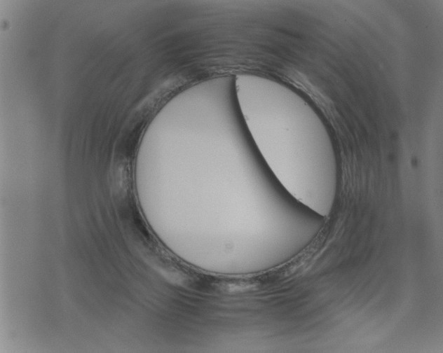 X0000075840165200609221714