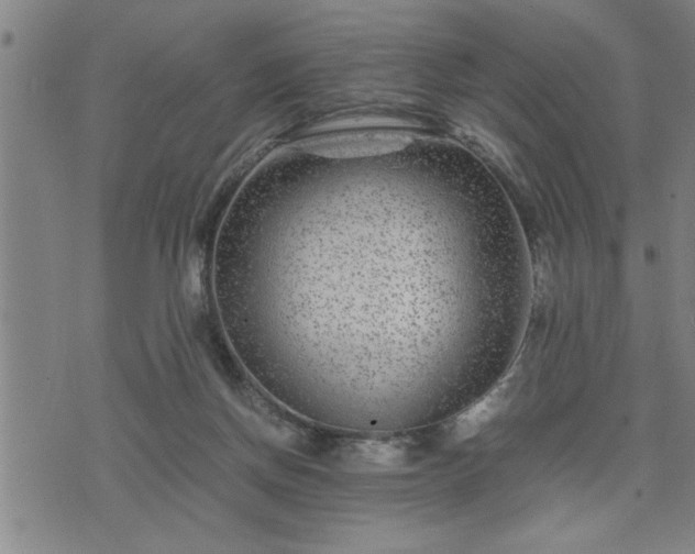 X0000075840166200609221714