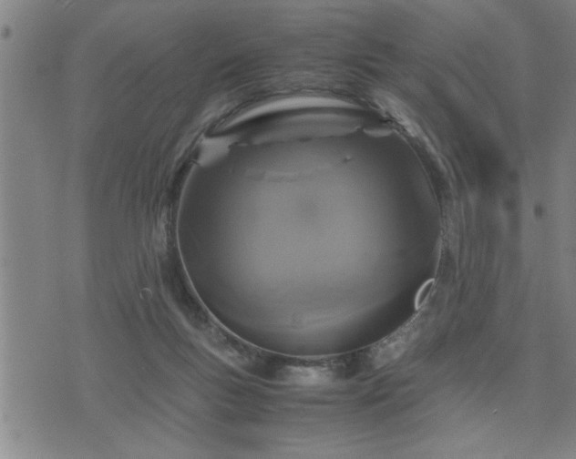 X0000075840167200609221714