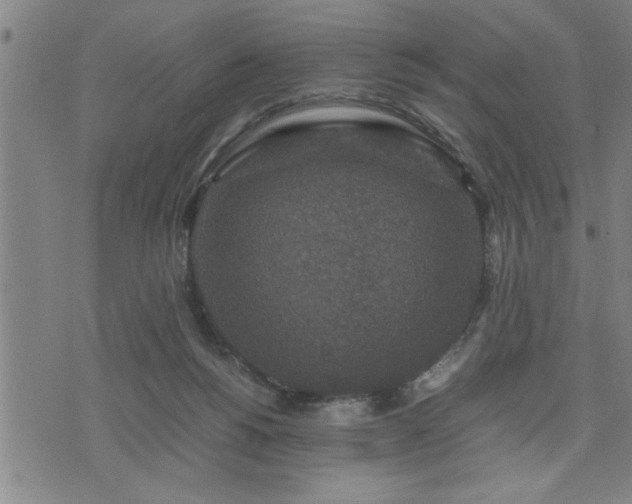 X0000075840168200609221714