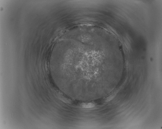 X0000075840169200609221714