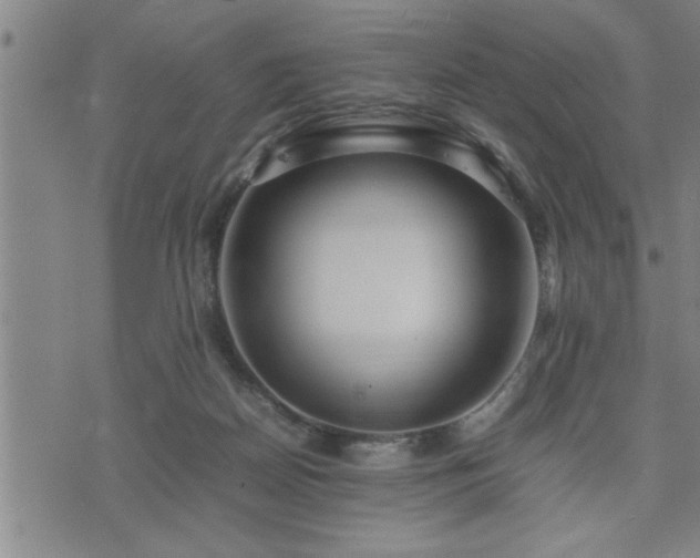 X0000075840170200609221714