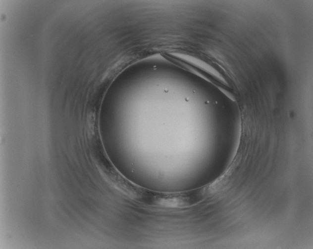 X0000075840171200609221714