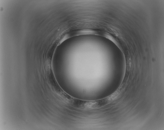 X0000075840172200609221714