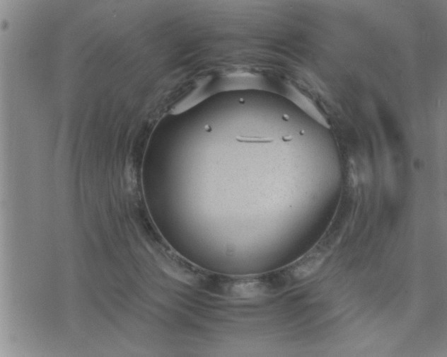 X0000075840173200609221714