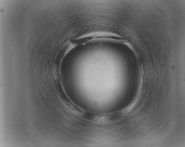 X0000075840174200609221714