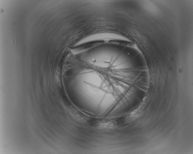 X0000075840175200609221714