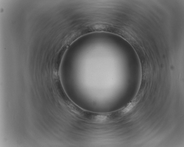 X0000075840176200609221714