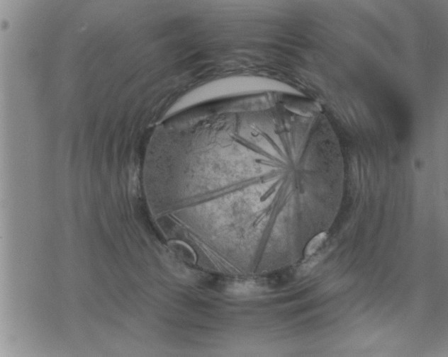 X0000075840177200609221714