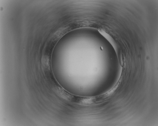 X0000075840178200609221714