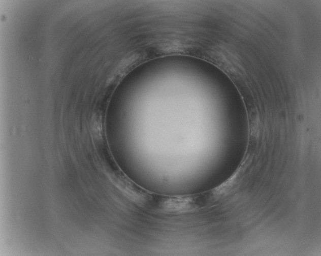 X0000075840179200609221714