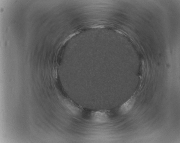 X0000075840180200609221714