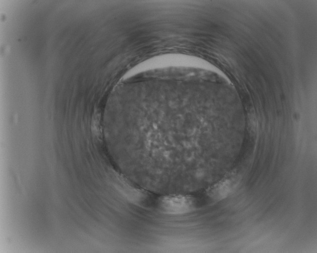 X0000075840181200609221714