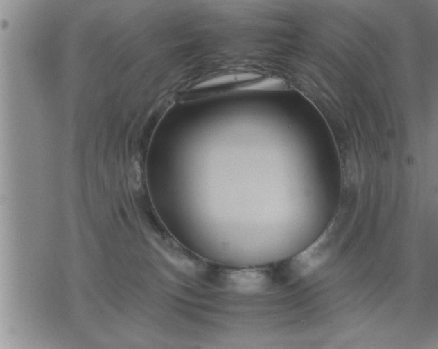 X0000075840183200609221714