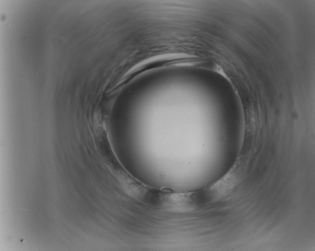 X0000075840184200609221714