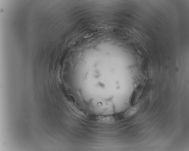 X0000075840185200609221714