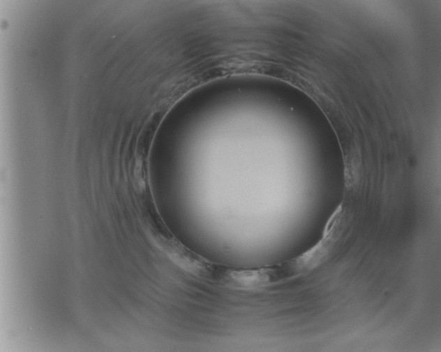 X0000075840187200609221714