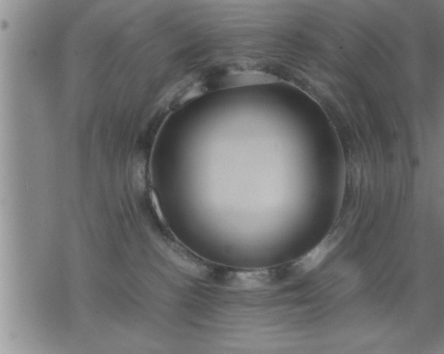 X0000075840188200609221714