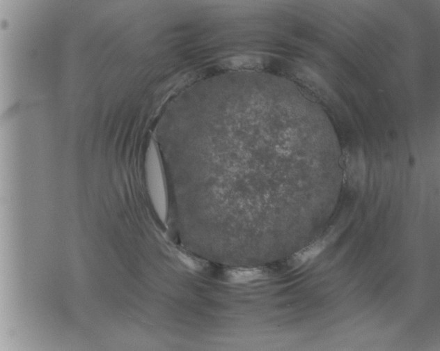 X0000075840189200609221714