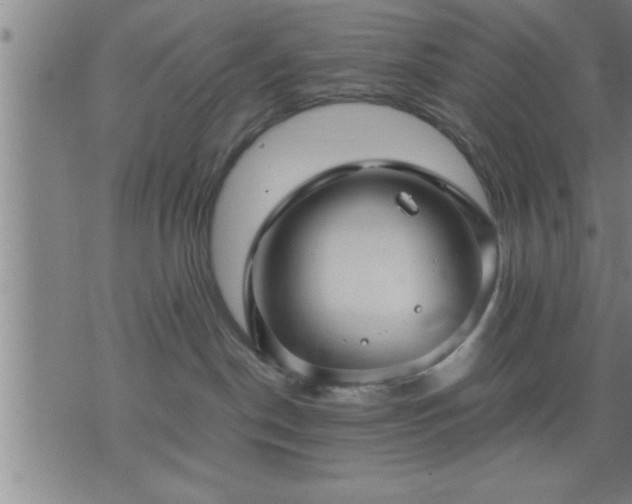 X0000075840190200609221714