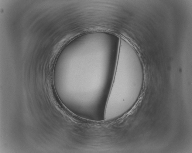 X0000075840193200609221713