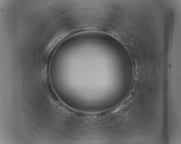 X0000075840194200609221713