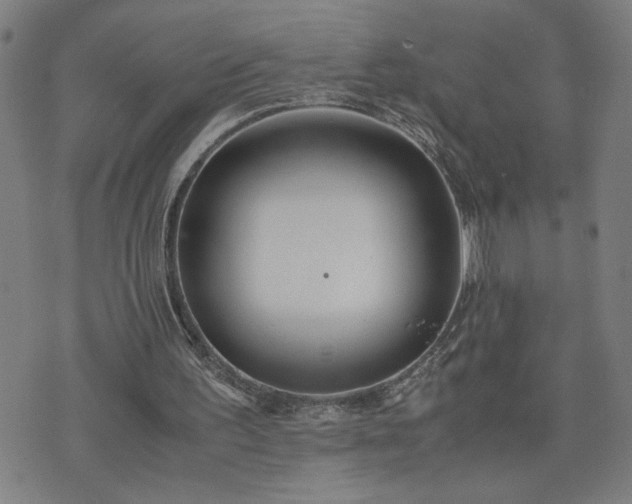 X0000075840195200609221713