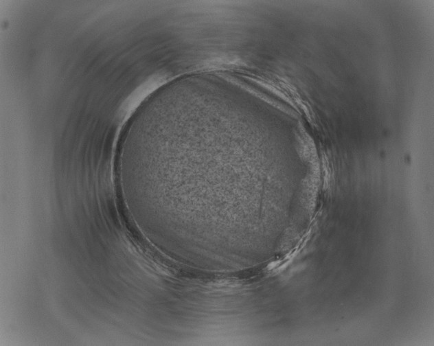 X0000075840196200609221713