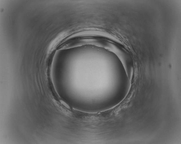 X0000075840197200609221713