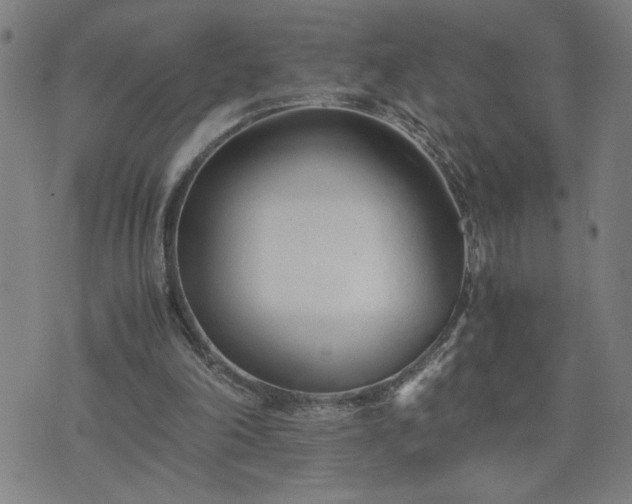 X0000075840198200609221713