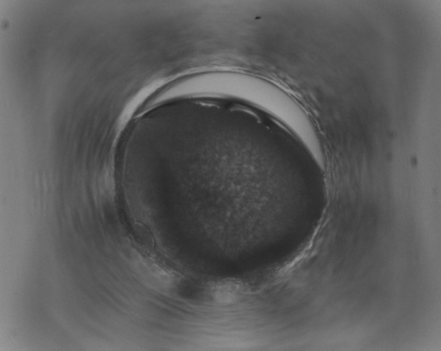 X0000075840200200609221713