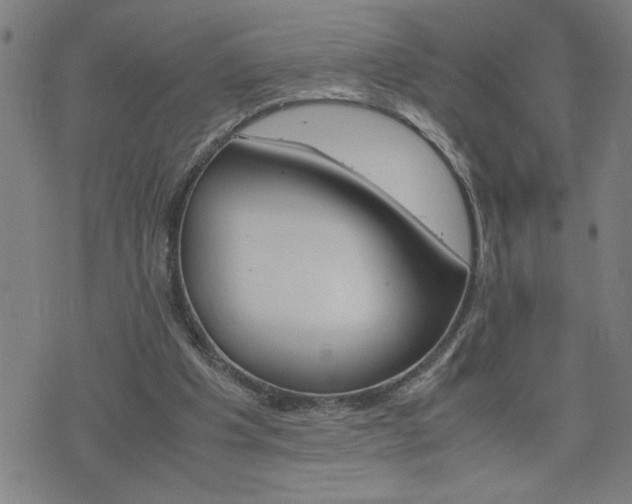 X0000075840201200609221713