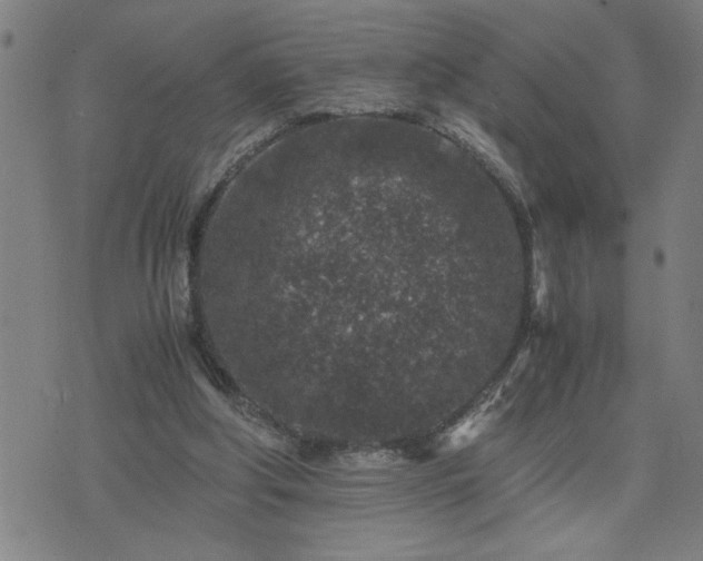 X0000075840202200609221713