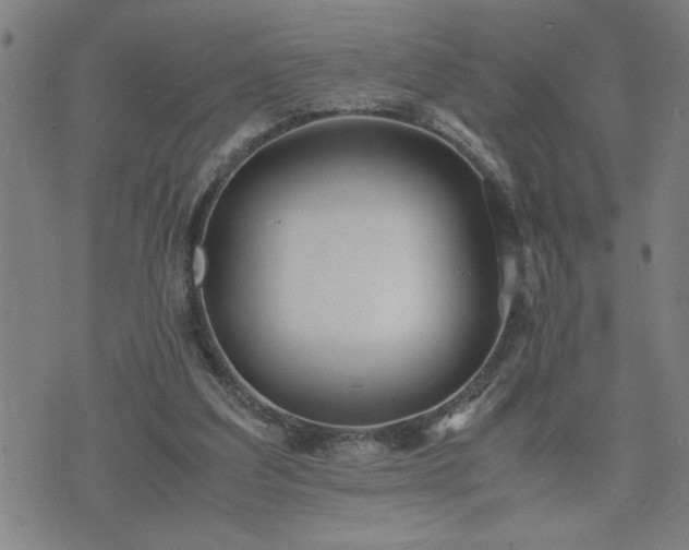 X0000075840203200609221713