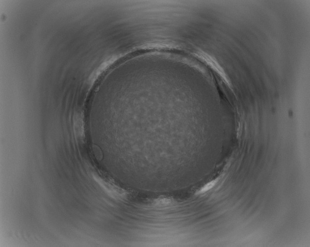 X0000075840204200609221713