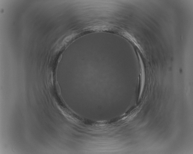 X0000075840205200609221713