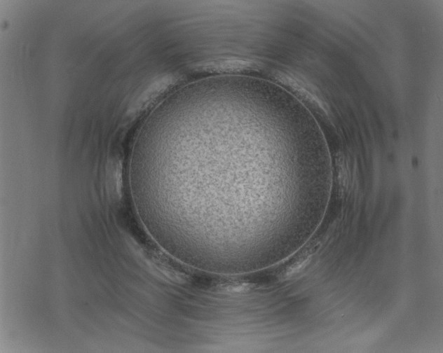 X0000075840206200609221713