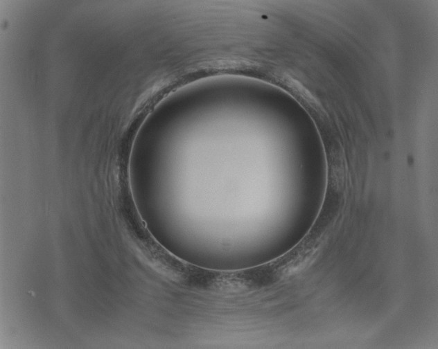 X0000075840207200609221713