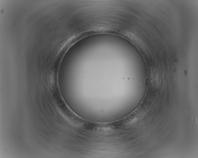 X0000075840208200609221713