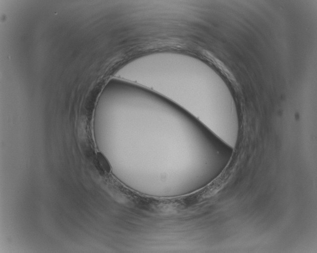 X0000075840209200609221713