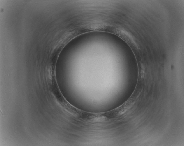 X0000075840210200609221713