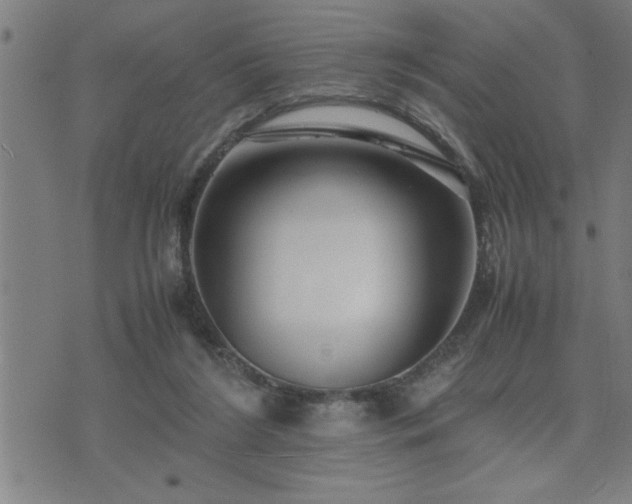 X0000075840212200609221713