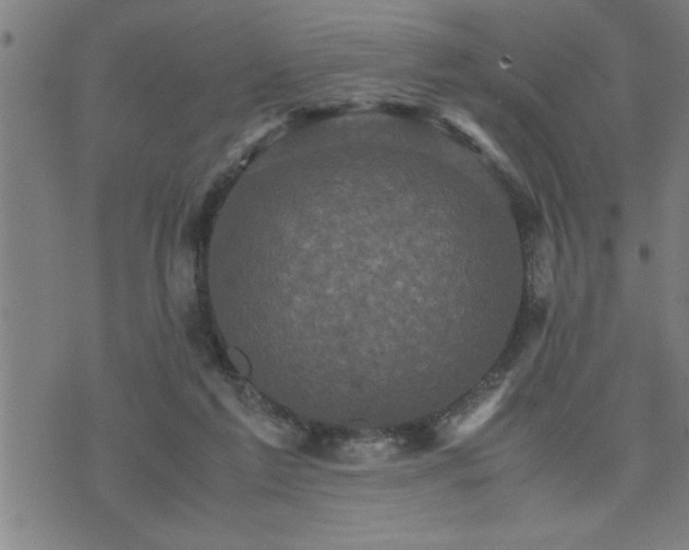 X0000075840213200609221713