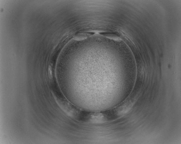 X0000075840214200609221713