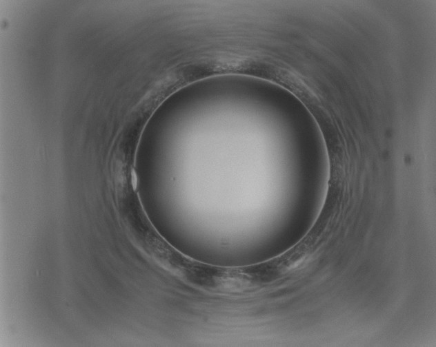 X0000075840215200609221713