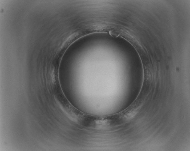 X0000075840216200609221713