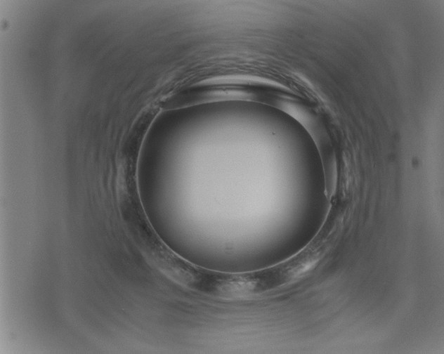 X0000075840217200609221713