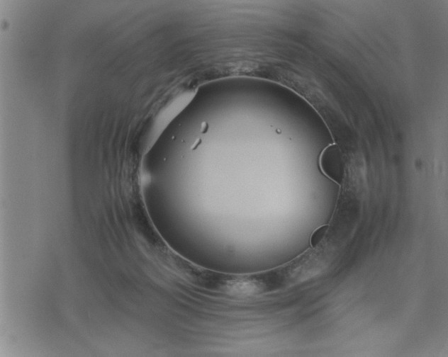 X0000075840218200609221713